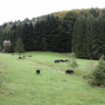 Familial Avec Piscine, Ideal Pour Randonnees Et Peche, Proche Gerardmer Et Cretes Vosgiennes - Fr-1-589-238 Дом отдыха