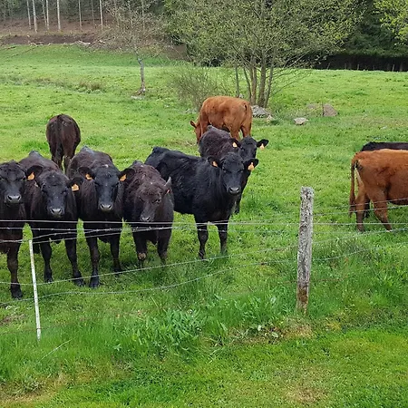 Familial Avec Piscine, Ideal Pour Randonnees Et Peche, Proche Gerardmer Et Cretes Vosgiennes - Fr-1-589-238 Дом отдыха Vienville