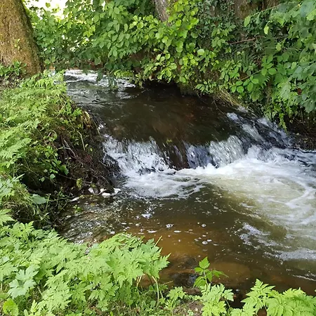 Familial Avec Piscine, Ideal Pour Randonnees Et Peche, Proche Gerardmer Et Cretes Vosgiennes - Fr-1-589-238 Σπίτι διακοπών