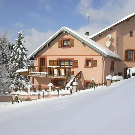Holiday home Familial Avec Piscine, Ideal Pour Randonnees Et Peche, Proche Gerardmer Et Cretes Vosgiennes - Fr-1-589-238