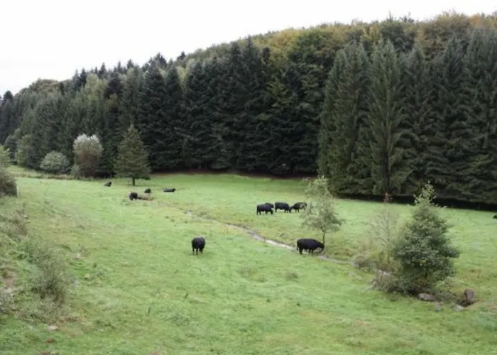 Familial Avec Piscine, Idéal Pour Randonnées Et Pêche, Proche Gérardmer Et Crêtes Vosgiennes - Fr-1-589-238 Casa vacanze