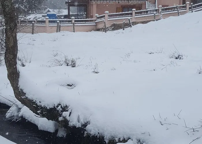Familial Avec Piscine, Idéal Pour Randonnées Et Pêche, Proche Gérardmer Et Crêtes Vosgiennes - Fr-1-589-238 *