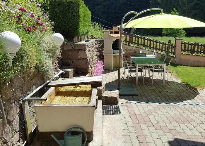 Familial Avec Piscine, Idéal Pour Randonnées Et Pêche, Proche Gérardmer Et Crêtes Vosgiennes - Fr-1-589-238 *