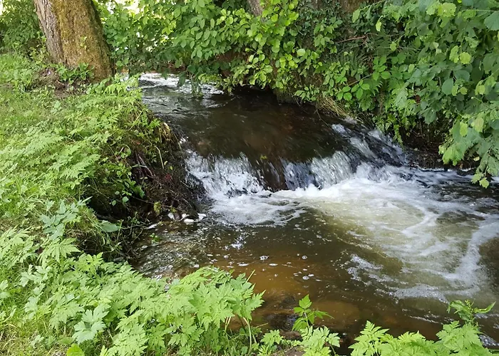Familial Avec Piscine, Idéal Pour Randonnées Et Pêche, Proche Gérardmer Et Crêtes Vosgiennes - Fr-1-589-238 Hébergement de vacances
