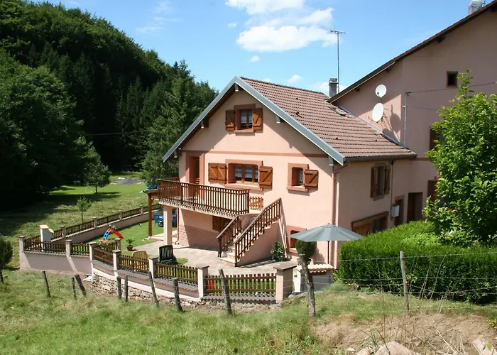 Familial Avec Piscine, Idéal Pour Randonnées Et Pêche, Proche Gérardmer Et Crêtes Vosgiennes - Fr-1-589-238 * Vienville