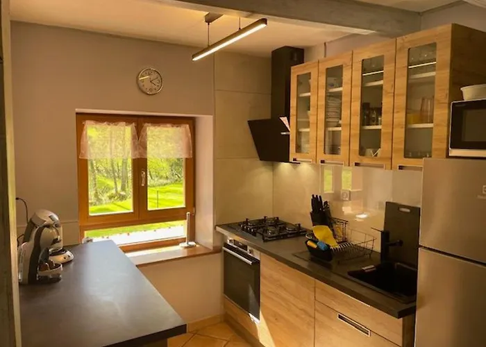 Hébergement de vacances Familial Avec Piscine, Idéal Pour Randonnées Et Pêche, Proche Gérardmer Et Crêtes Vosgiennes - Fr-1-589-238 *