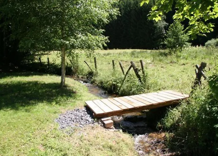 Familial Avec Piscine, Idéal Pour Randonnées Et Pêche, Proche Gérardmer Et Crêtes Vosgiennes - Fr-1-589-238 * Vienville