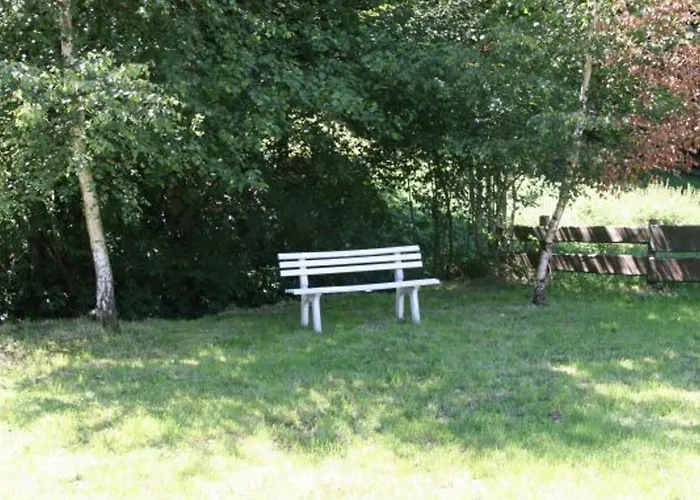 Hébergement de vacances Familial Avec Piscine, Idéal Pour Randonnées Et Pêche, Proche Gérardmer Et Crêtes Vosgiennes - Fr-1-589-238 *