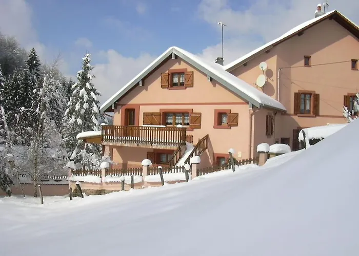 Casa vacanze Familial Avec Piscine, Idéal Pour Randonnées Et Pêche, Proche Gérardmer Et Crêtes Vosgiennes - Fr-1-589-238