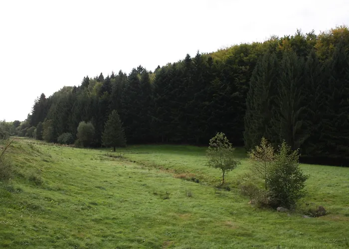 Familial Avec Piscine, Idéal Pour Randonnées Et Pêche, Proche Gérardmer Et Crêtes Vosgiennes - Fr-1-589-238 Hébergement de vacances Vienville